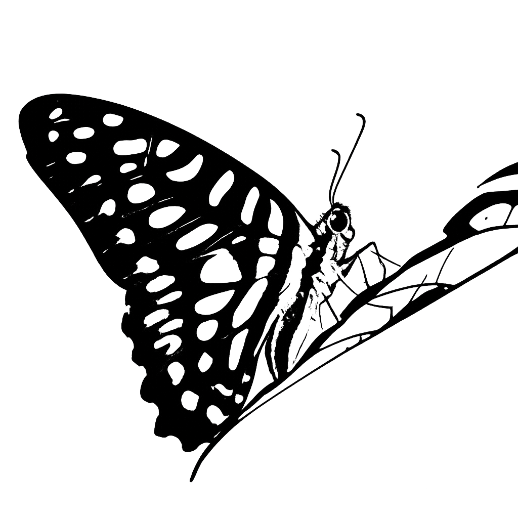 ステンシル line art example